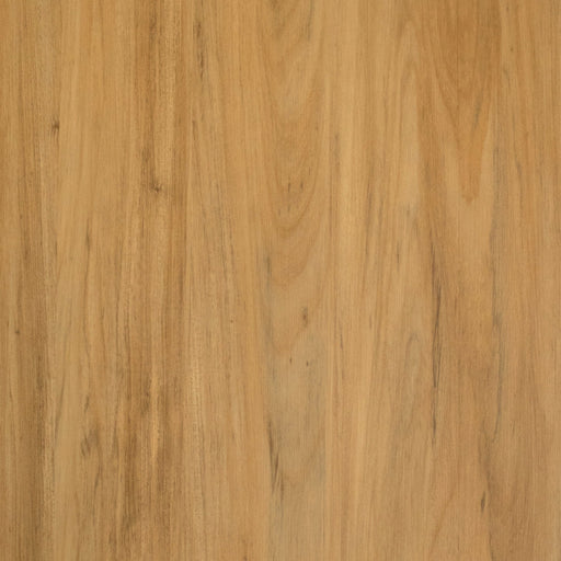 Grandeur Flooring - Timeless Collection - Acacia