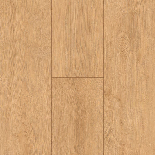 InHaus - Ceramin® - Icon Collection - Dockside
