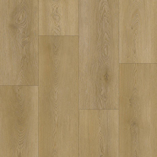 Caledon - Goliath Collection - Driftwood Dune