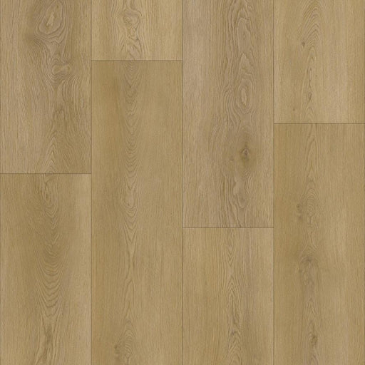 CALEDON - ARTIMIS COLLECTION - DRIFTWOOD DUNE