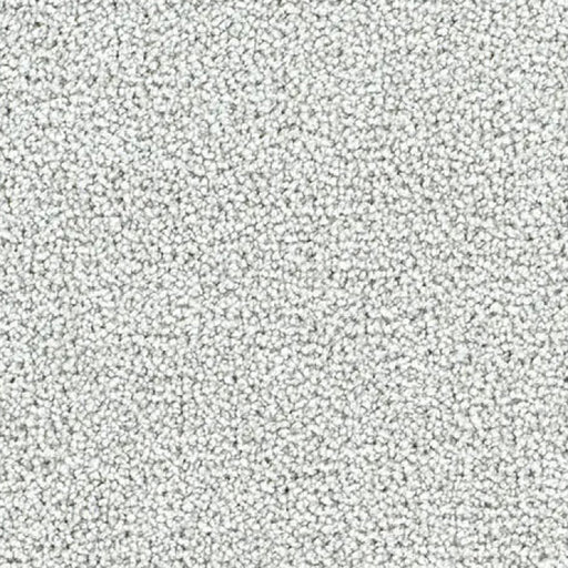 ACORN DESIGN - JASPER COLLECTION - 40 OZ CUT PILE CARPET - ECHO