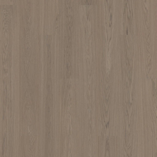 BJELIN - WOODURA - SELECT COLLECTION - XXL FORMAT - OAK - EARTH GREY