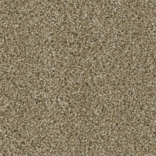 Primco - Estates Carpet - Majesty Collection - Elegant
