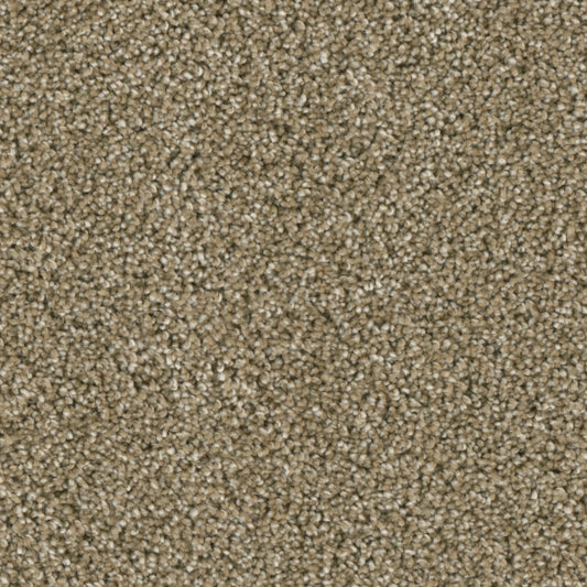 Primco - Estates Carpet - Grand Style Collection - Elegant
