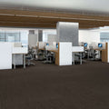 Shaw Floors - 5th & Main Carpet - Native Collection - ESSENTIAL