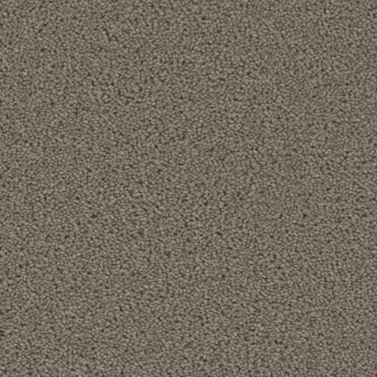 ACORN DESIGN - PACIFIC RIM COLLECTION - 24OZ CUT PILE CARPET - EVERGREEN