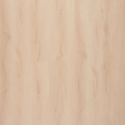 MSI Surfaces - Laurel Collection - Fallonton