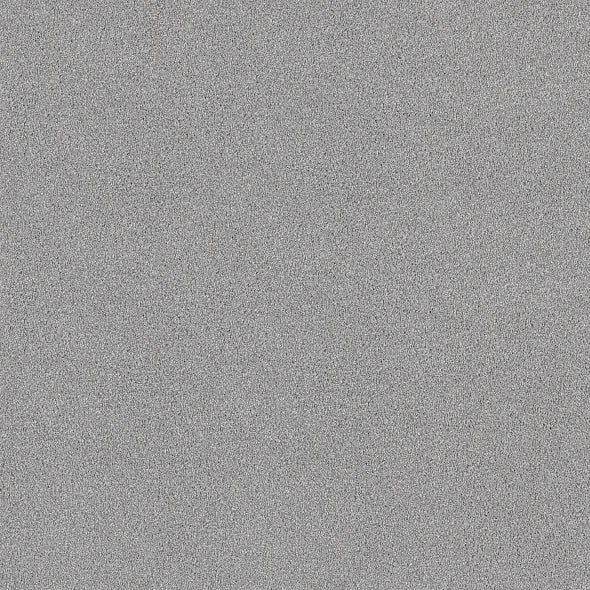 Shaw Floors - Carpet - COMFORTING II - Foil