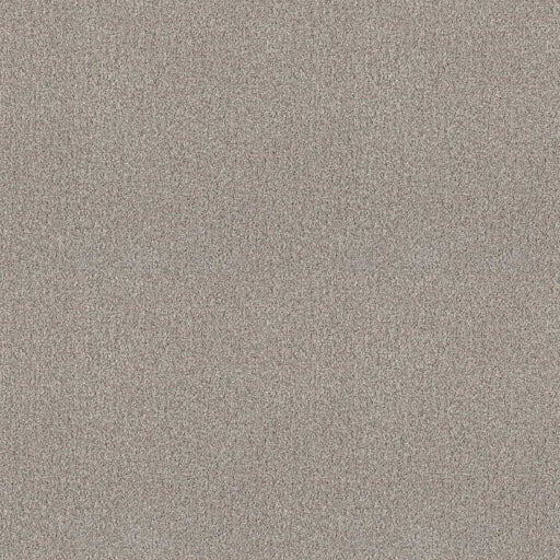 Shaw Floors - Carpet - COMFORTING II - French Buff