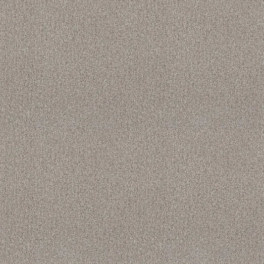 Shaw Floors - Carpet - COMFORTING II - French Buff