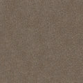 Shaw Floors - Carpet - Simply The Best  - Attainable - Fox Hollow