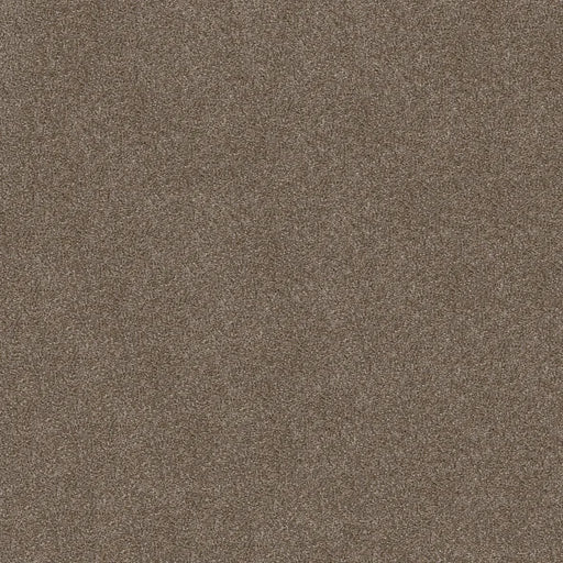 Shaw Floors - Carpet - Simply The Best  - Attainable - Fox Hollow