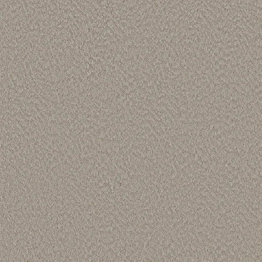 Shaw Floors - Carpet - Foundations Collection  - Alluring Canvas - Fossil Path