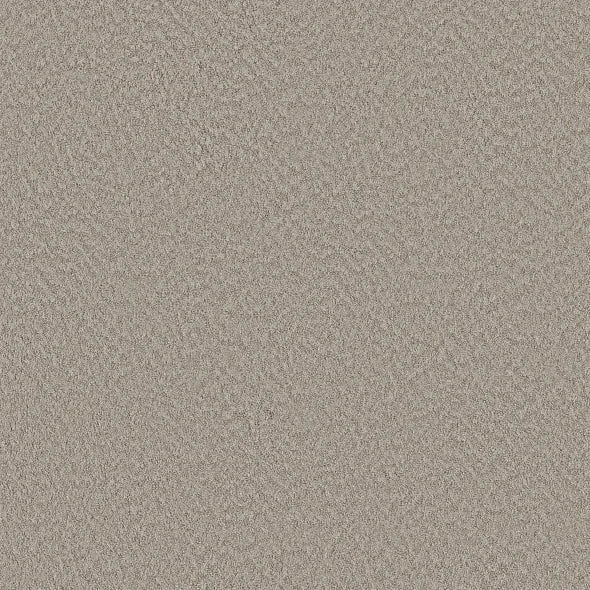 Shaw Floors - Carpet - Foundations Collection  - Alluring Canvas - Fossil Path