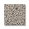 Shaw Floors - Carpet - Foundations Collection  - Alluring Canvas - Fossil Path