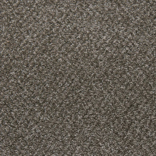 Primco - Estates Carpet - Tender Collection - Felicity