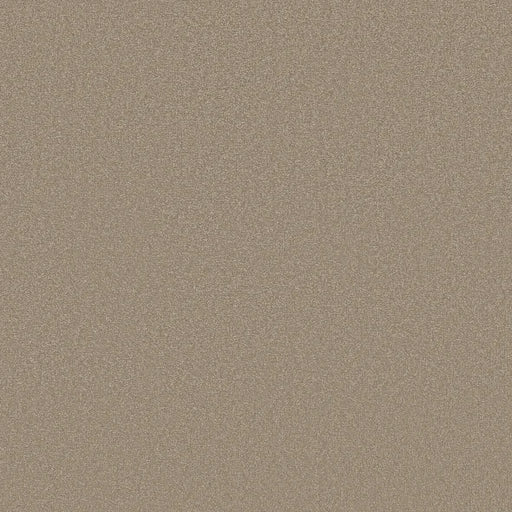 Shaw Floors - Carpet - Classics Collection  - Awaken Spirit II - 12' - Fresco