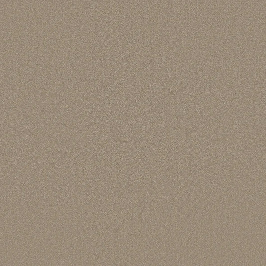 Shaw Floors - Carpet - Classics Collection  - Awaken Spirit I 12' - Fresco