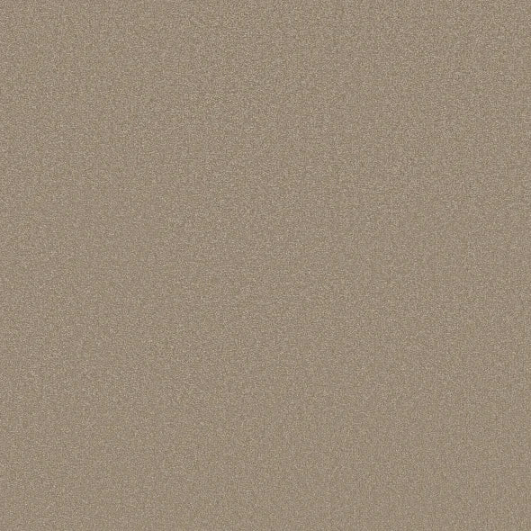 Shaw Floors - Carpet - Classics Collection  - Awaken Spirit I 12' - Fresco