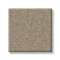 Shaw Floors - Carpet - Classics Collection  - Awaken Spirit I 12' - Fresco