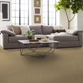 Shaw Floors - Carpet- Foundations Collection - Grounded