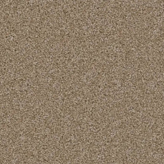 ACORN DESIGN - PACIFIC RIM COLLECTION - 24OZ CUT PILE CARPET - GLADE