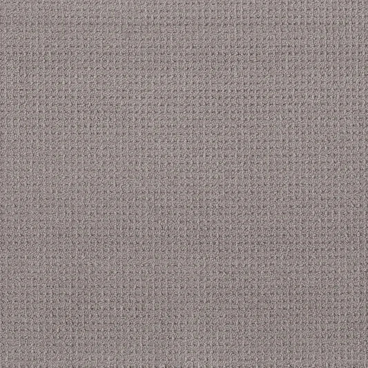 Shaw Floors - Carpet - Foundations Collection - Faint Intent - Grey Fox
