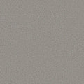 Shaw Floors - Carpet- Foundations Collection - HARMONIOUS II - Grey Fox