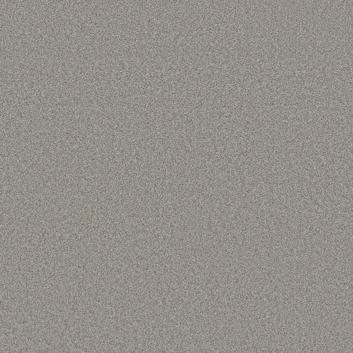 Shaw Floors - Carpet- Foundations Collection - HARMONIOUS II - Grey Fox