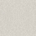Shaw Floors - Carpet - Foundations Collection  - Alluring Canvas - Gallery Opening