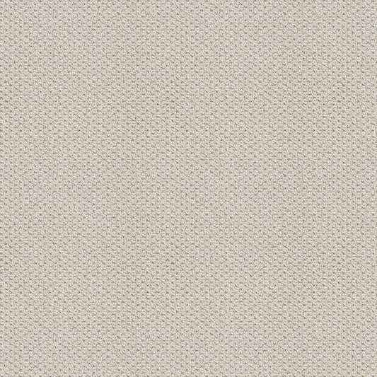 Shaw Floors - Carpet - Foundations Collection - Faint Intent - Gallery Opening