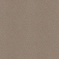 Shaw Floors - Carpet - Simply The Best  - Attainable - Grecian Tan