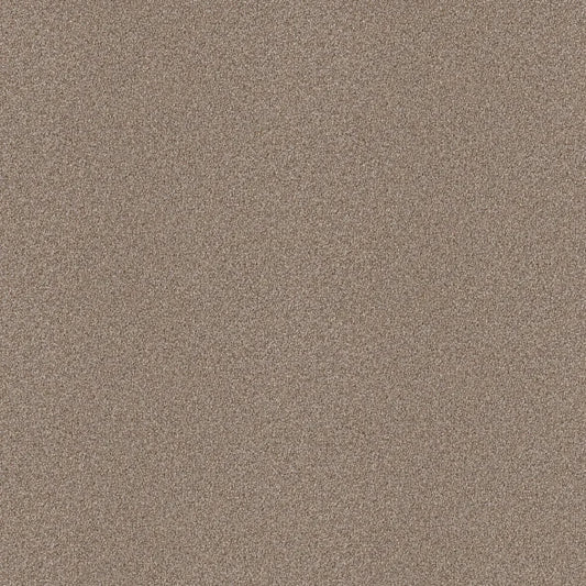 Shaw Floors - Carpet - Simply The Best  - Attainable - Grecian Tan