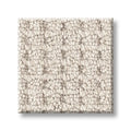 Shaw Floors - Carpet - Foundations Collection - Faint Intent - Gallery Opening