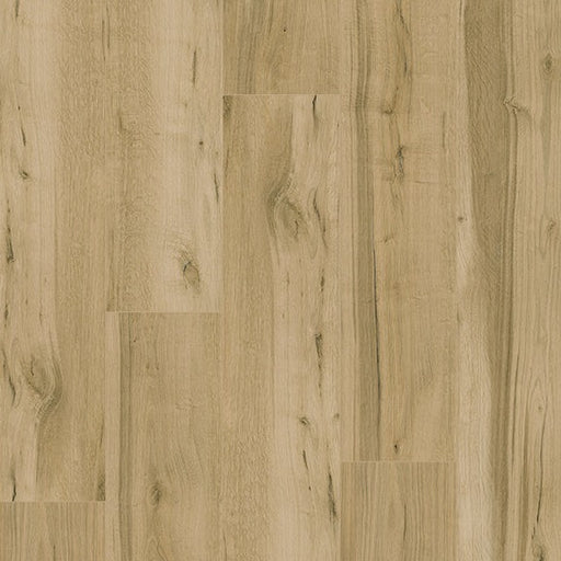 TwelveOaks - Foundation Premium Collection - Gingerbread