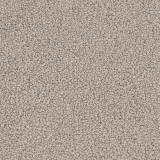 Primco - Estates Carpet - Soft Spoken Collection - Glisten
