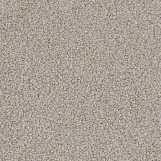 Primco - Estates Carpet - Tender Collection - Glisten