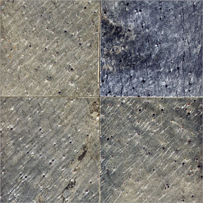 MSI - Quartzite Outdoor Tile - Gold Green - Honed Finish - 12" x 12"