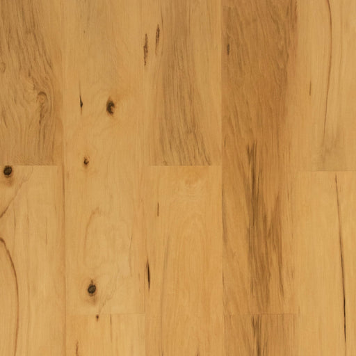 Grandeur Flooring - Pacific Collection - Golden Bay