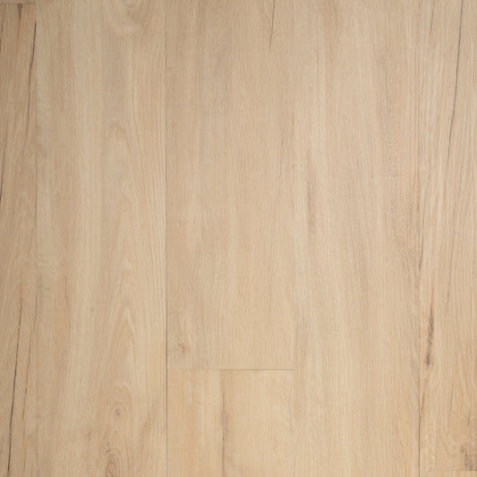 Grandeur Flooring - Timeless Collection - Northern Oak