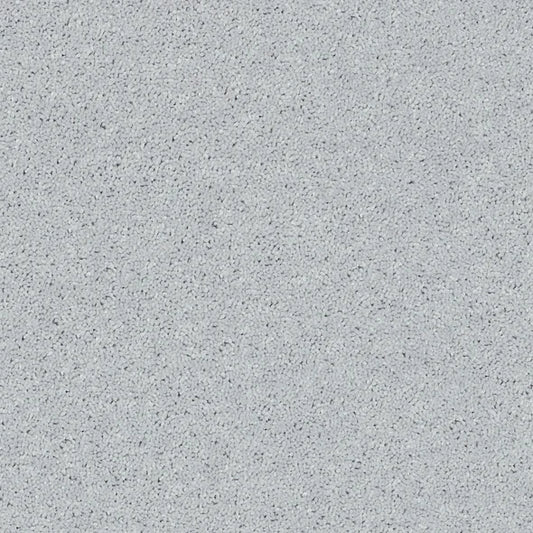 Shaw Floors - Carpet - Full Court 12' - Dove