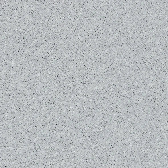 Shaw Floors - Carpet - Full Court 12' - Dove
