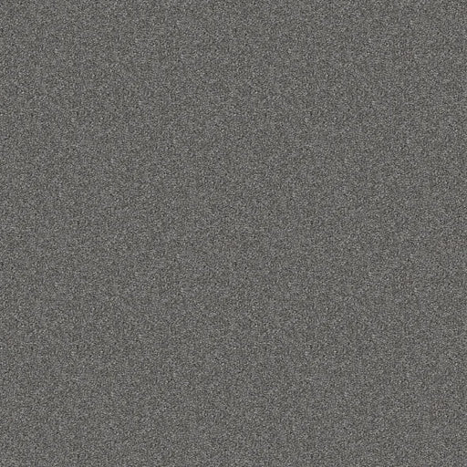 Shaw Floors - Carpet - Simply The Best  - Attainable - Hearthstone