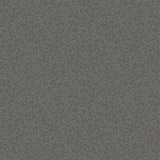 Shaw Floors - Carpet - Simply The Best  - Attainable - Hearthstone