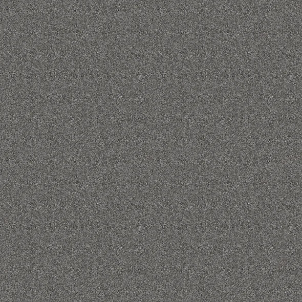 Shaw Floors - Carpet - Simply The Best  - Attainable - Hearthstone