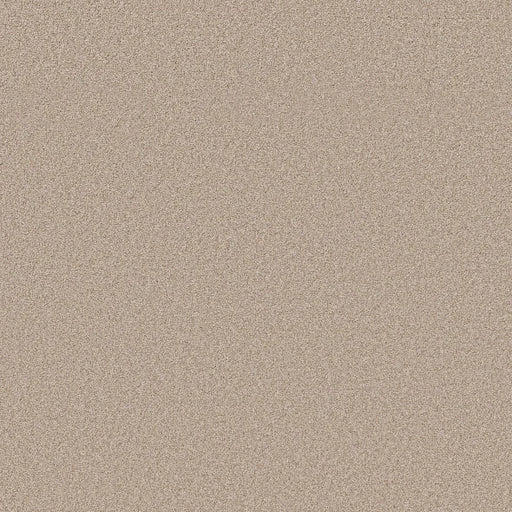 Shaw Floors - Carpet- Foundations Collection - HARMONIOUS II - Heirloom