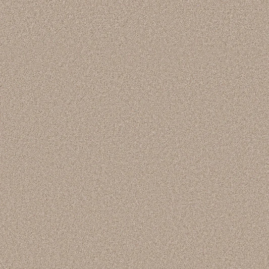 Shaw Floors - Carpet- Foundations Collection - HARMONIOUS II - Heirloom