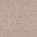 Shaw Floors - Carpet - Foundations Collection  - Alluring Canvas - Heirloom