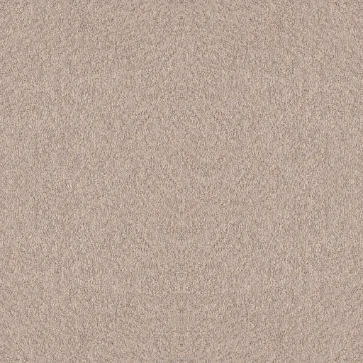 Shaw Floors - Carpet - Foundations Collection  - Alluring Canvas - Heirloom