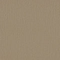 Shaw Floors - Carpet - Simply The Best Collection - Bandon Dunes - Hiking Trail